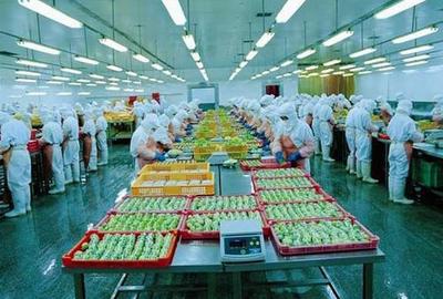 山東食品加工 互聯(lián)網(wǎng)開(kāi)啟食品新模式，引領(lǐng)產(chǎn)業(yè)升級(jí)新篇章